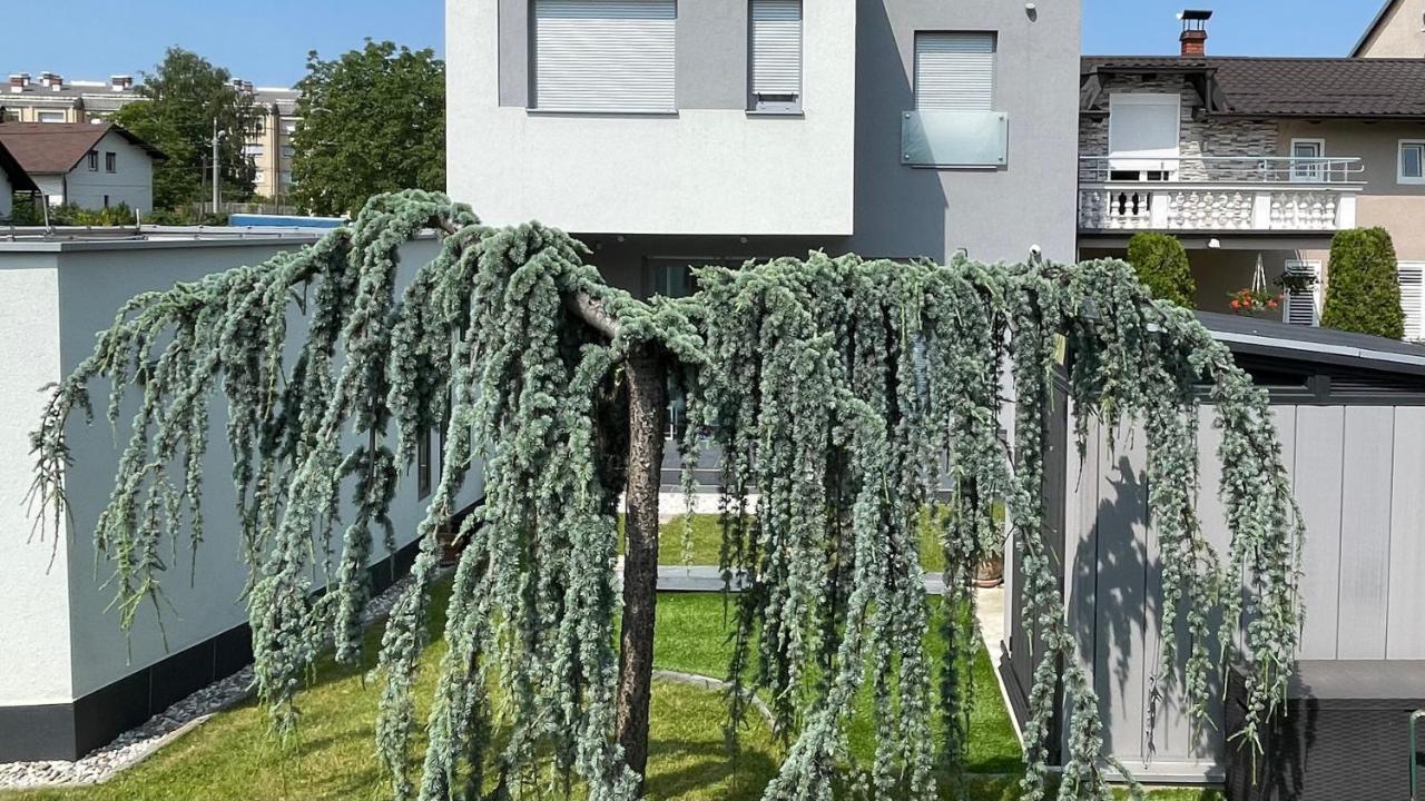 Villa Mami Zágráb Kültér fotó